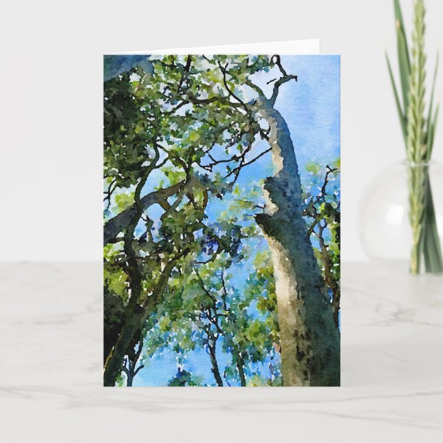 Tarjeta Festiva Bosque Eucalyptus (Anverso)