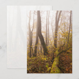Tarjeta Festiva Bosque Otoñal Atmosférico en Niebla