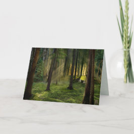 Tarjeta Festiva Bosques de Amanecer