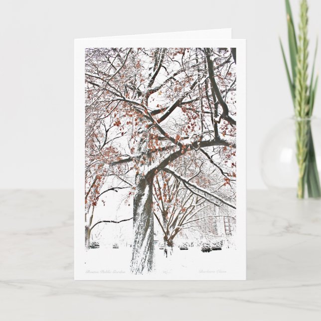 Tarjeta Festiva Boston Public Garden (Anverso)