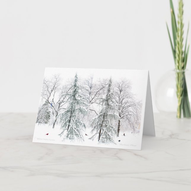 Tarjeta Festiva Boston Public Garden: Sencillos placeres de la tem (Anverso)