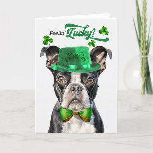 Tarjeta Festiva Boston Terrier Dog Feelin' Lucky St Patrick's Day