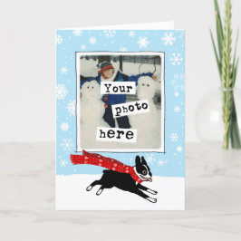 Tarjeta Festiva Boston terrier en los Navidades de fotos de la nie