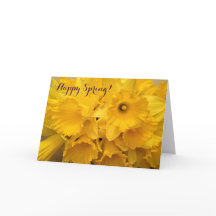 Bouquet de Daffodils Pascua