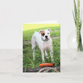 Tarjeta Festiva Boxeador