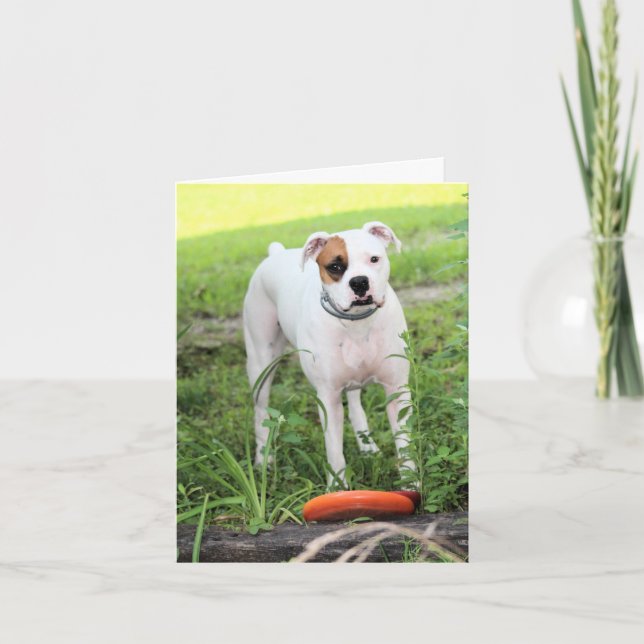 Tarjeta Festiva Boxeador (Anverso)