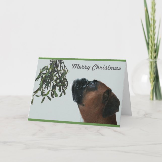 Tarjeta Festiva Boxer Dog Jolie con Mistletoe (Anverso)