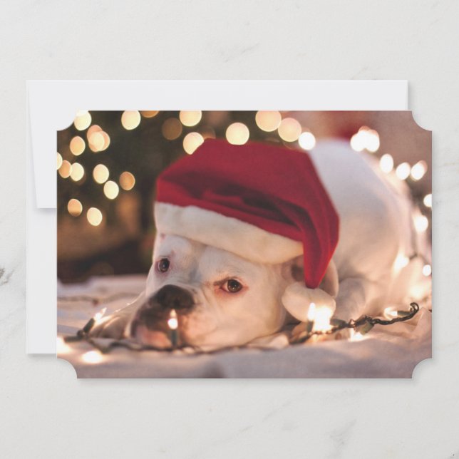 Tarjeta Festiva Boxer Santa (Anverso)