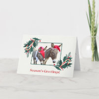 Boxer y Benjamin les desean unas felices fiestas!