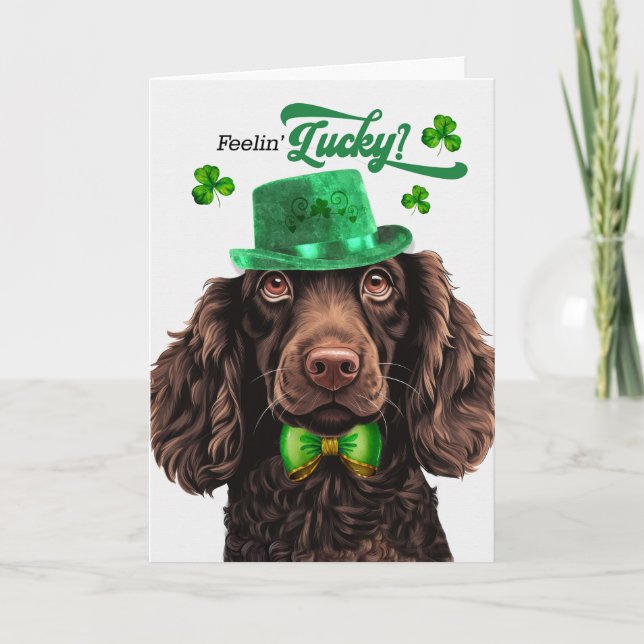 Tarjeta Festiva Boykin Spaniel Dog Lucky St Patrick's Day (Anverso)