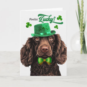 Tarjeta Festiva Boykin Spaniel Perro Suerte Día de San Patricio
