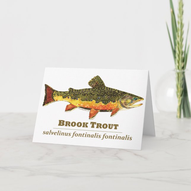Tarjeta Festiva Brook Trout, latín (Anverso)