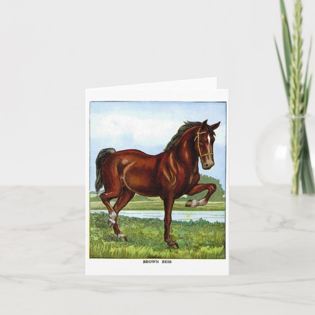 Tarjeta Festiva Brown Bess (Anverso)