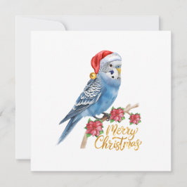 Tarjeta Festiva Budgie Christmas Card