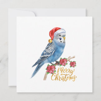 Tarjeta Festiva Budgie Christmas Card