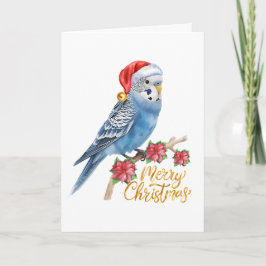 Tarjeta Festiva Budgie Christmas Card