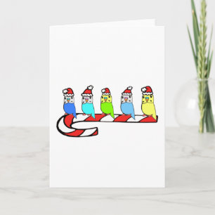 Tarjeta Festiva Budgies-Navidades
