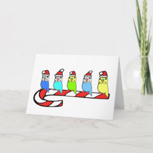 Tarjeta Festiva Budgies-Navidades