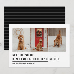 Tarjeta Festiva Buena lista divertido mascota tres foto negro Navi