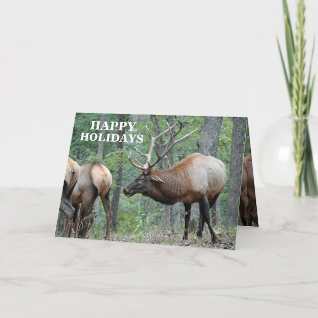 Tarjeta Festiva Buenas fiestas alces divertidos de Bull en rodera (Anverso)
