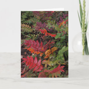 Tarjeta Festiva Buenas fiestas del noroeste pacífico