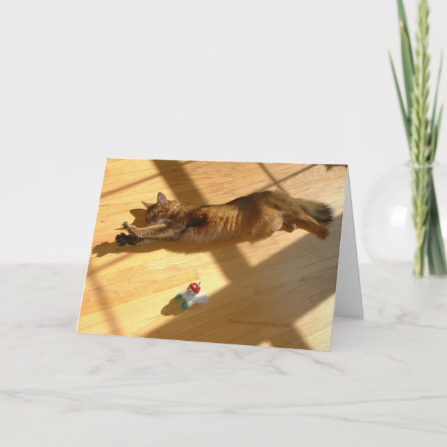 Tarjeta Festiva Buenas fiestas, estilo somalí del gato (Anverso)
