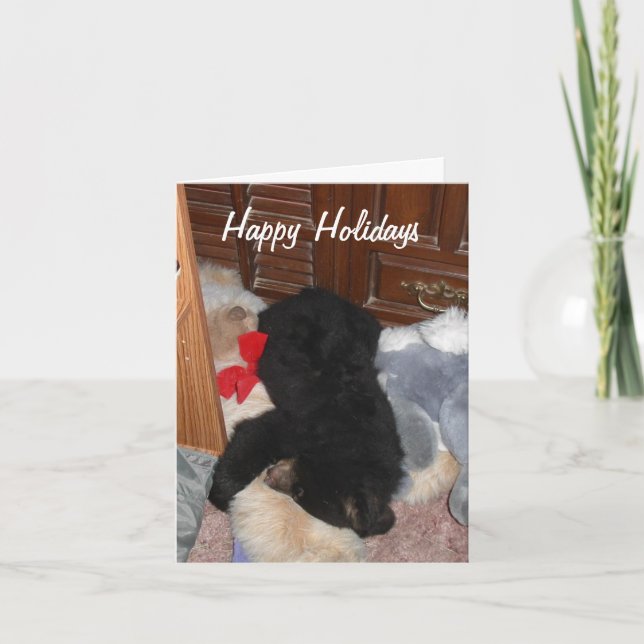 Tarjeta Festiva Buenas fiestas - Shenandoah brillante (Anverso)