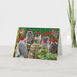 Tarjeta Festiva Búho navideño con un poco de mapache