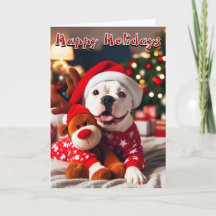 Bulldog blanco estadounidense listo para Navidades