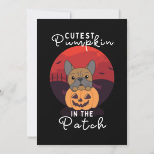 Tarjeta Festiva Bulldog Calabaza Perros La Calabaza Más Bonita Del