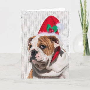 Tarjeta Festiva Bulldog con Navidades Gorra