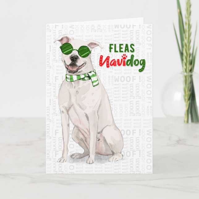 Tarjeta Festiva Bulldog de foso blanco huelgas divertidas Navidade (Anverso)