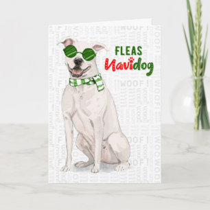 Tarjeta Festiva Bulldog de foso blanco huelgas divertidas Navidade