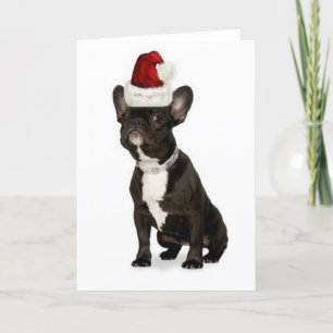 Tarjeta Festiva Bulldog Ditzy de Dogs~Original Notecard~French