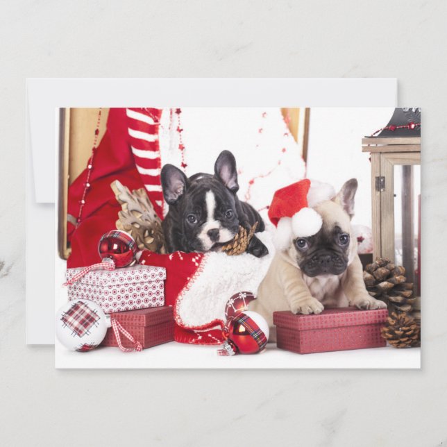 Tarjeta Festiva Bulldog francés de Navidades de pipa (Anverso)