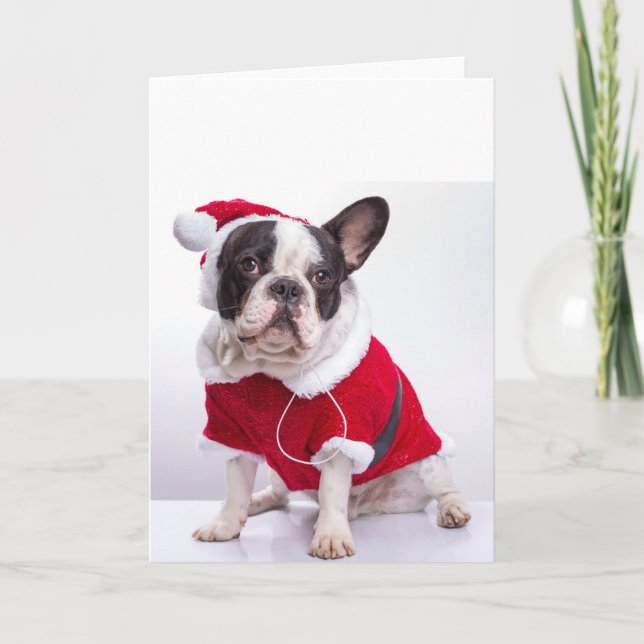 Tarjeta Festiva Bulldog francés en el traje de Santa para el (Anverso)