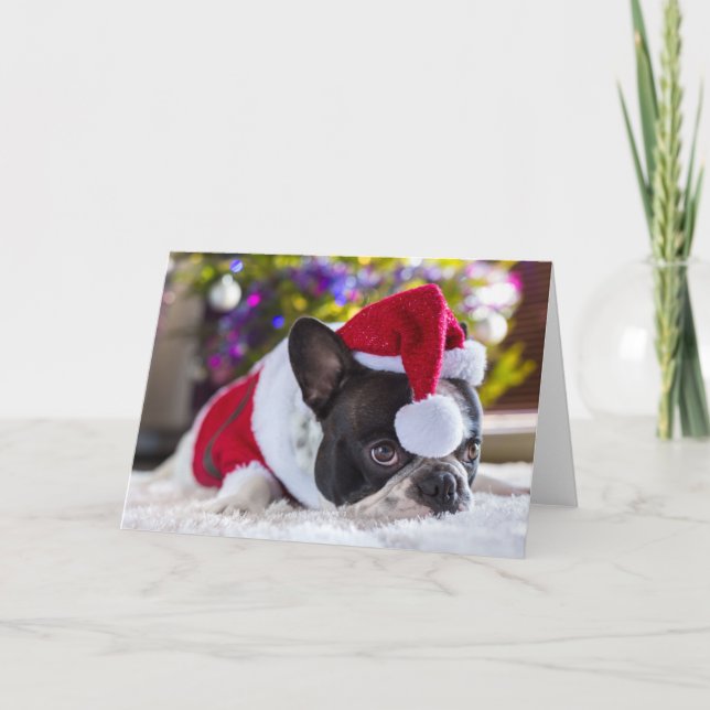 Tarjeta Festiva Bulldog Francés En Sombrero De Papá Noel Bajo Árbo (Anverso)