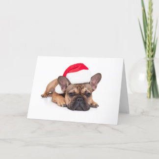 Tarjeta Festiva Bulldog francés - Navidades