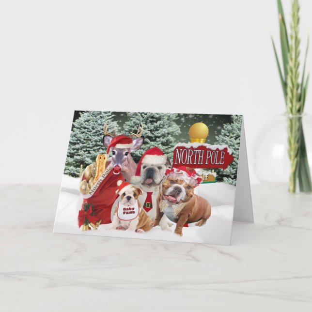 Tarjeta Festiva Bulldog Gritando Desde El Polo Norte (Anverso)