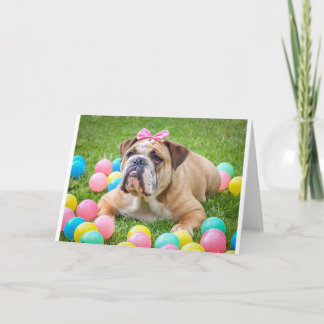 Tarjeta Festiva Bulldog Perro animal dulce de Pascua Hundeportrait