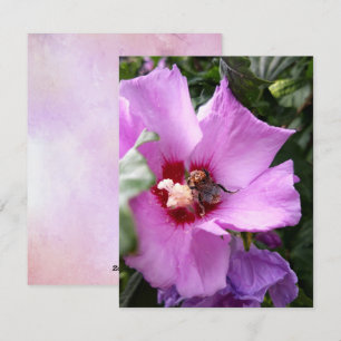 Tarjeta Festiva Bumblebee en la flor de Hibiscus