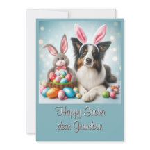 Bunny Border Collie Feliz Nieto de Pascua