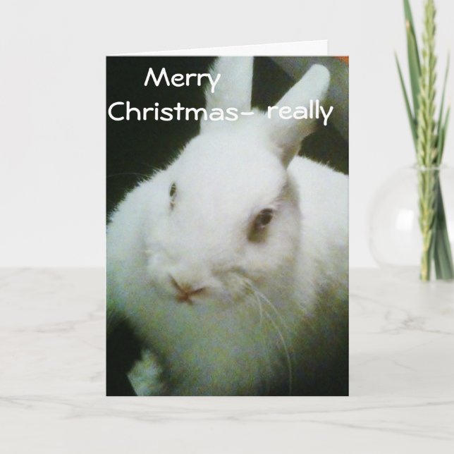 TARJETA FESTIVA BUNNY CELEBRA "NAVIDADES" (Anverso)