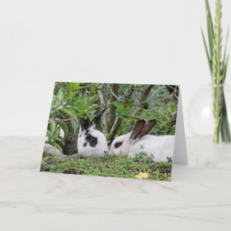 Tarjeta Festiva Bunny Couple