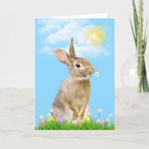 Tarjeta Festiva Bunny De Pascua En Grass