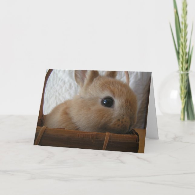 Tarjeta Festiva Bunny Easter Card (Anverso)