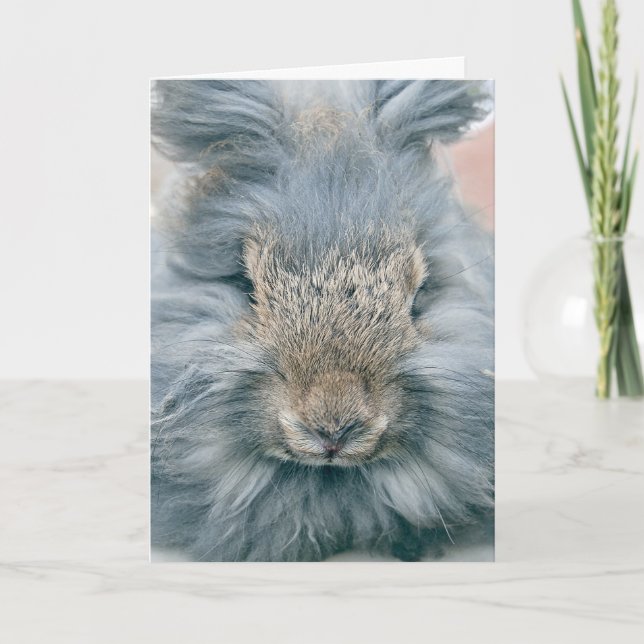 Tarjeta Festiva Bunny gris de Pascua (Anverso)