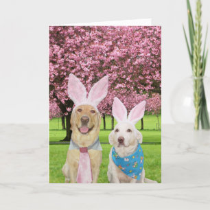 Tarjeta Festiva Bunny Labs