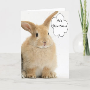 TARJETA FESTIVA BUNNY SALE A DECIR *FELIZ NAVIDAD*