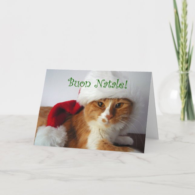 Tarjeta Festiva Buon Natale - gato que lleva el gorra de Santa (Anverso)